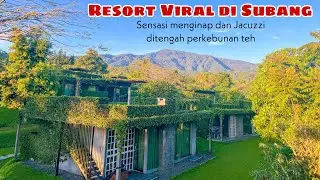 HIDDEN GEM SUBANG‼️Rekomendasi Penginapan instagramable di subang,review lengkap Tea Garden Resort