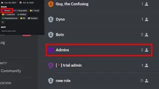 How to Add Admins On Your Discord Server