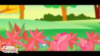 Parts of a Plant  for kids : Functions of Different Parts of Plants