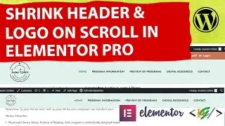 How to Shrink Header & Logo on Scroll in Elementor Pro WordPress | Reduce Logo