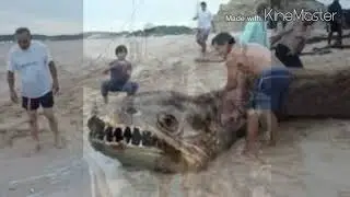 Трунко и прочие глобстеры