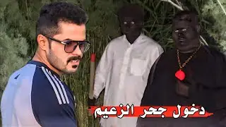 دخول جحر اكلي لحوم السلاحف _  صيد 5 سلاحف أخرى للزعيم _ مهمة البوابة النجميه ( 3 )
