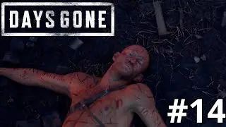 DAYS GONE - PARTE 14: A MORTE DE CARLOS (LIDER DOS RIPPERS) [ PC - Playthrough ]