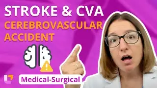 Stroke & Cerebrovascular Accident (CVA) - Medical-Surgical - Nervous System | 