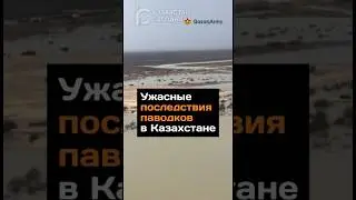 Ужасные последствия паводков в Казахстане 