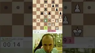 Жёсткий НОКАУТ! Жигалко Сергей #shorts