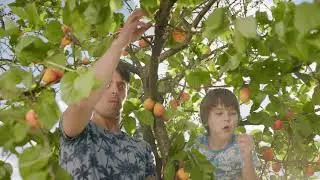 Ентерол. Дачники 15 сек