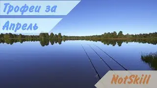 Русская рыбалка 4. Трофеи за апрель.