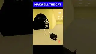 Maxwell The Cat Dancing Song 🐈Angry munci 