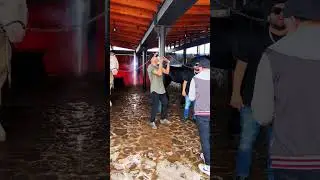 Listos?  Ahogándome en el alcohol próximamente plebes 🥶