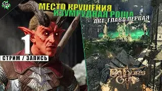 🛑 Baldur's Gate III | Локации: Место крушения, Изумрудная роща и Гнездо Медвесыча | Акт: Первый