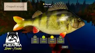 РУССКАЯ РЫБАЛКА 4.В поисках ЩУКИ,заказ в КАФЕ...🐟 оз. Старый Острог