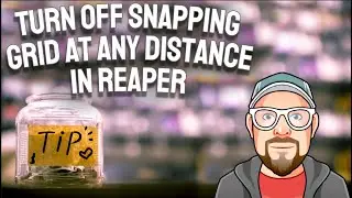 Turn OFF Snapping Grid at any Distance in REAPER