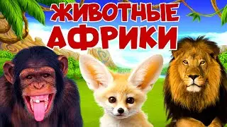 Животные Африки. Развивающее видео о животных и звуки животных для детей