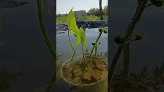 Никакой рутины нет, ты сам её создал))