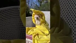 Жизнь хороша! И жить хорошо!