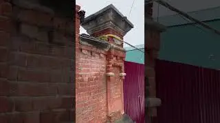 ПРОТОРУНЫ в Мещере. 