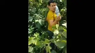 تبكي على امها😂😂💪