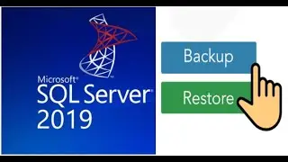 How to Restore BAK File in Sql Server