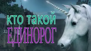 Единорог - мифическое существо | Мифы и мифология мира | Интересные факты