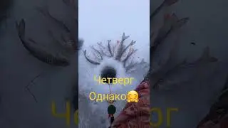 Четверг- рыбный день🤗👍