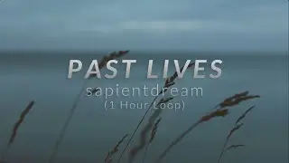 sapientdream - Past Lives (1 Hour Loop)