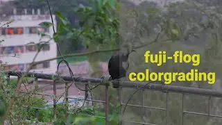 Fujifilm xt3 flog color grading (4k 60p)