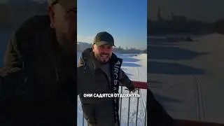 Так вот она, наша родина! 