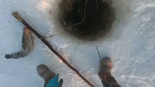 И снова на рыбалку! Рыба есть! 4k!Winter fishing in Yakutia! 23.12.2023г.