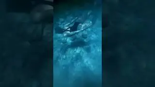Впервые ныряю с ластами 🤿