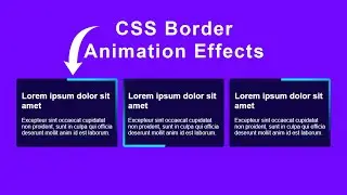 CSS border Animation Effect | CSS Cards Hover Border Animation Effect