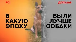 В какую эпоху были лучше собаки? Размышления... In what era were the best dogs? Reflections...