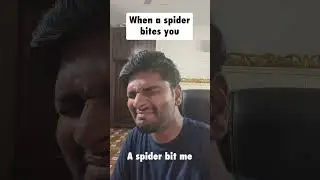 When a Spider Bites you 