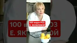 🏡🌹Что на даче ЕЛЕНЫ ЯКОВЛЕВОЙ