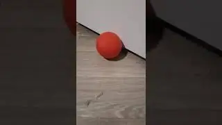 Cat Jynx Vs Balloon