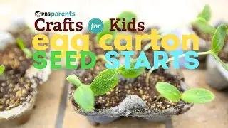 Egg Carton Seed Starts | Crafts for Kids | PBS KIDS for Parents