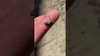 Нужно ли менять Воду в Бассейне 