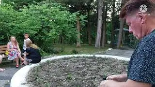1124.Сочи. Магри. Территория санатория МВД  