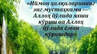 Кетишли керак булади...Абдуллох домла