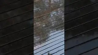 ПРИКОЛЫ С ЖИВОТНЫМИ. СМЕШНО ДО СЛЁЗ. ГРУСТЬ. ЖИВОТНЫЕ НАШЕЙ ПЛАНЕТЫ. ПРИКОЛЫ 2021. ВИДЕО ИЗ ТИК ТОКА
