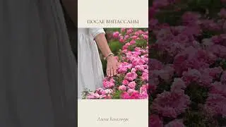 До и после випассаны 