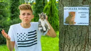 Нашли блохастого, голодного КОТЁНКА.We save the homeless hungry KITTEN.