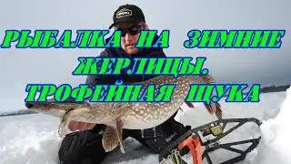 Рыбалка на зимние жерлицы.Трофейная щука.