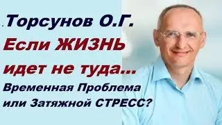 Торсунов О.Г. Если ЖИЗНЬ идет не туда... Временная Проблема или Затяжной СТРЕСС? 2017