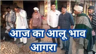 28 मार्च 2022/आज का आलू भाव आगरा मंडी/बंपर पैदावार से मंडी लबालब/Potato Mandi Rates Today in Agra