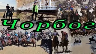 Бузкашии Чорбог. Зарафшон Панчакент Косатарош