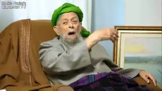 Шейх Назим. Мои кошки.