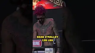 Sean O'Malley Makes Championship Weight #nocheufc #UFC306 #UFC #seanomalley