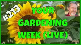 Gardening Tips to Avoid (Q&A)