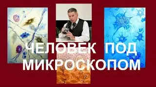 Человек под микроскопом - картины профессора Щербатых